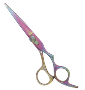 Professional Hair Cutting Scissors 